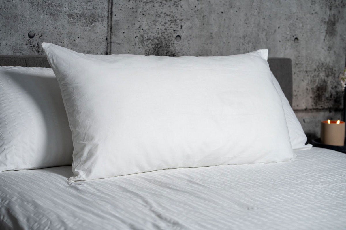 Image of Jumbo pillow at Sleep Nation 